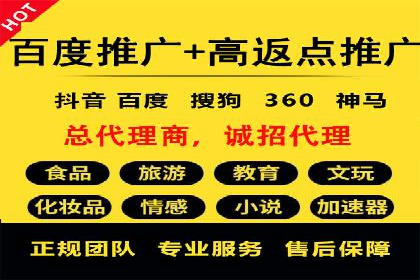 SEM运营策略案例分析